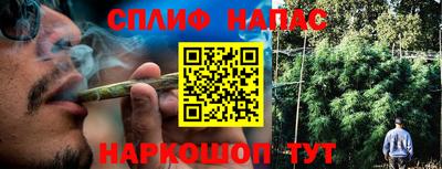 гидропоника Можга