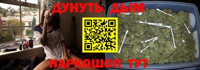 гидропоника Можга