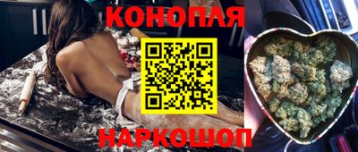 гидропоника Можга