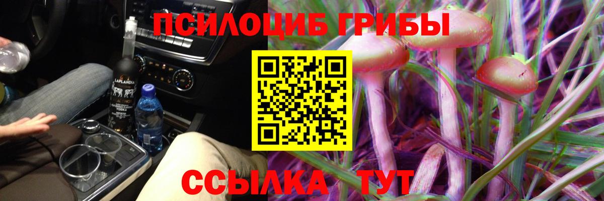 Галлюциногенные грибы GOLDEN TEACHER Видное
